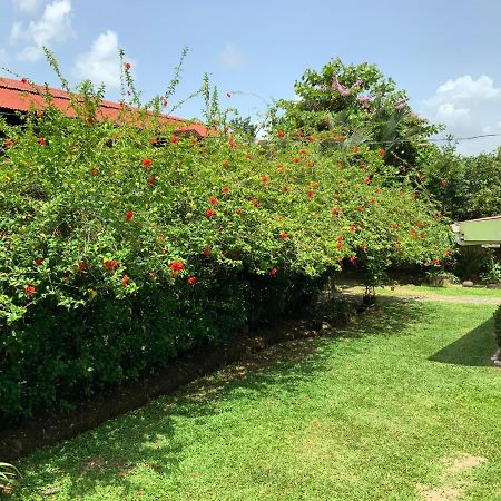Casona Tica Linda Sarapiquí Exterior foto